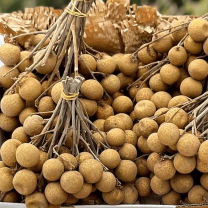 Longan Good Hill Farms Fruit: Longan