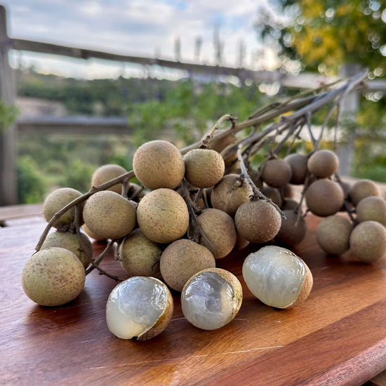 Longan Good Hill Farms Fruit: Longan