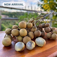 Longan Good Hill Farms Fruit: Longan