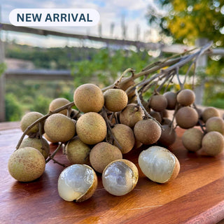Longan Good Hill Farms Fruit: Longan