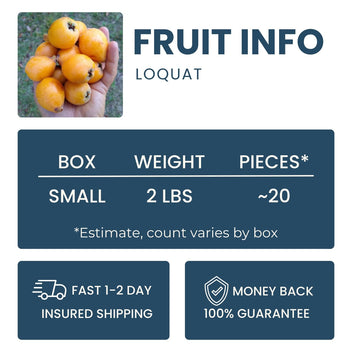 Loquat Good Hill Farms Fruit: Loquat
