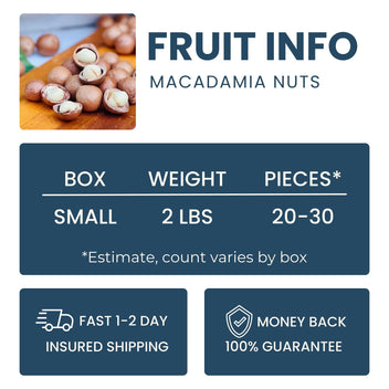 Macadamia Nuts Good Hill Farms Fruit: Macadamia Nut