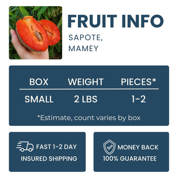 Mamey Sapote Good Hill Farms Fruit: Sapote, Mamey
