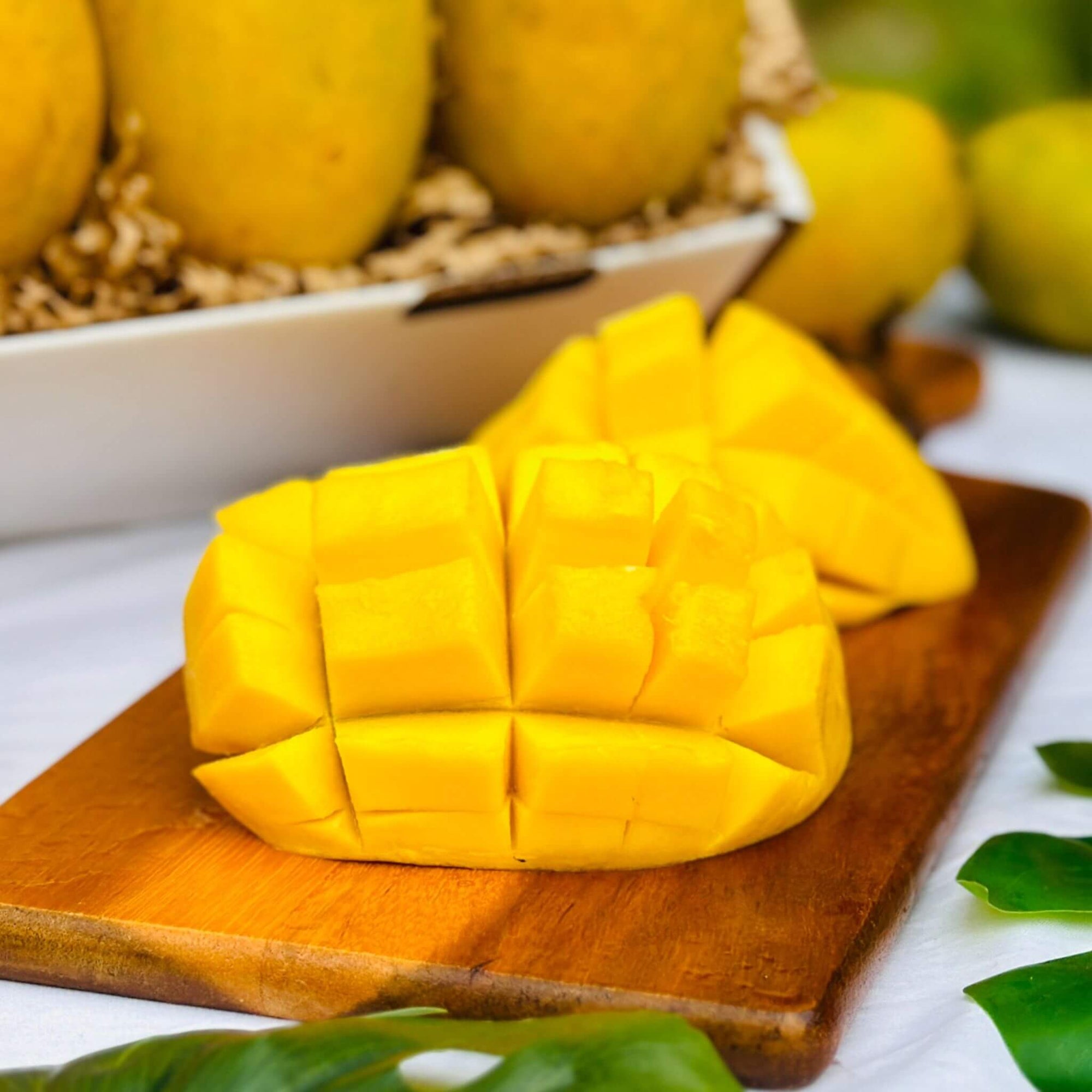 Mango Variety Box Good Hill Farms Mix Box: Mango, Variety