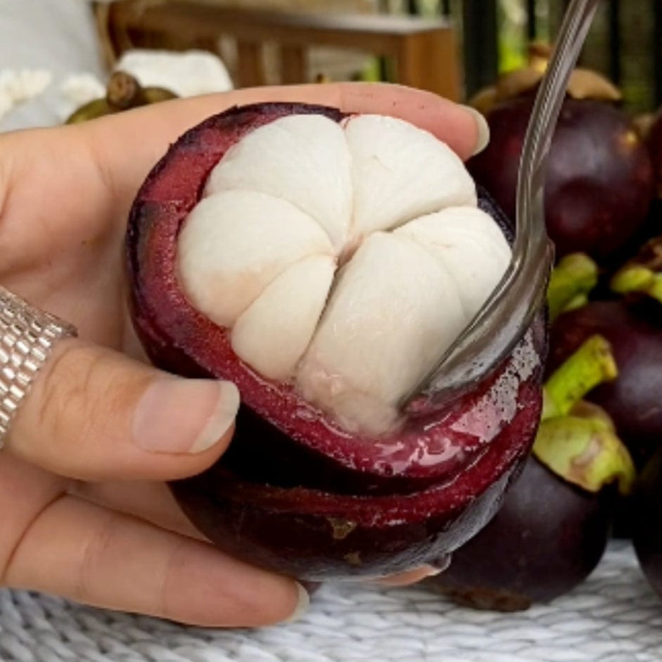 Mangosteen Good Hill Farms Fruit: Mangosteen