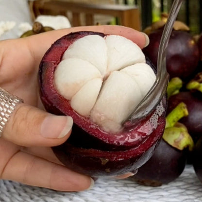 Mangosteen Good Hill Farms Fruit: Mangosteen