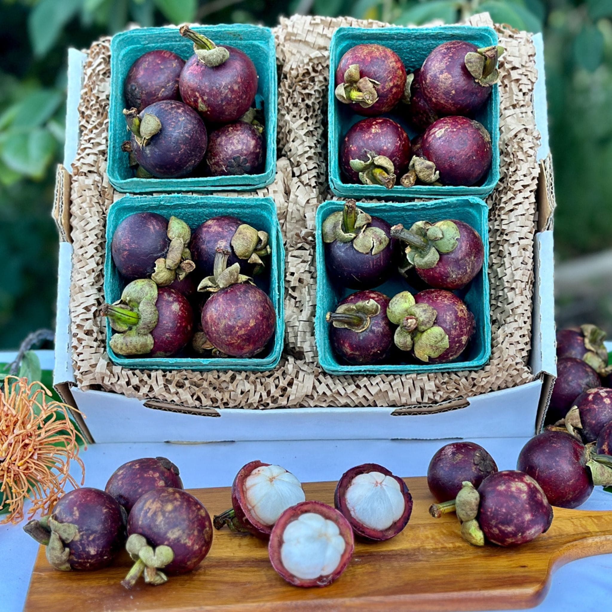 Purple Mangosteen sale Fruit Box