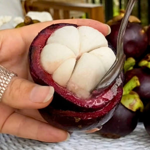 Mangosteen