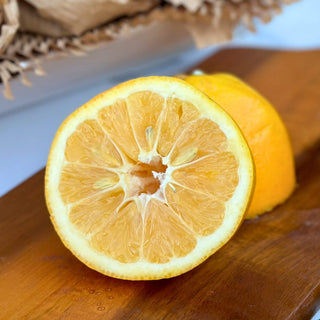 Meyer Lemon Good Hill Farms Fruit: Lemon, Meyer