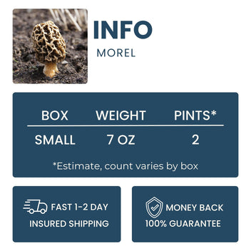 Morel Mushroom Good Hill Farms Mushroom: Morel