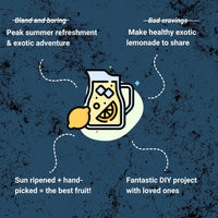 Passion Fruit Lemonade Kit Good Hill Farms Mix Box: Lemonade, Passion Fruit