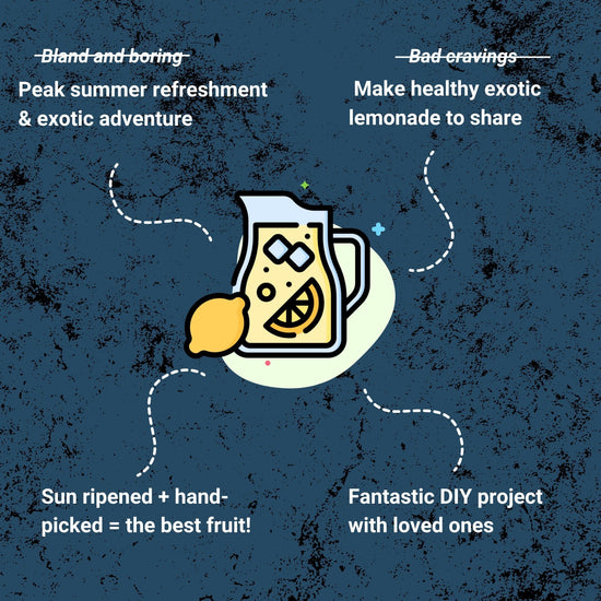 Passion Fruit Lemonade Kit Good Hill Farms Mix Box: Lemonade, Passion Fruit