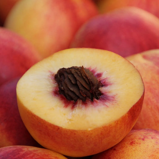 Peach Good Hill Farms Fruit: Peaches