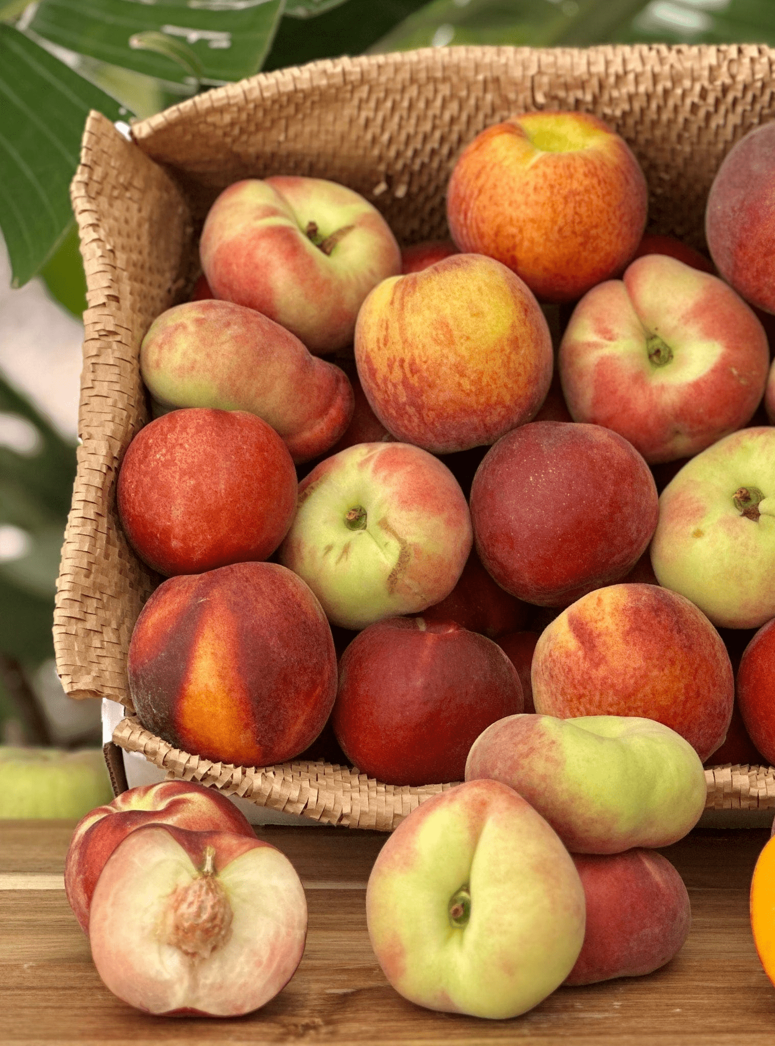 Peach Variety