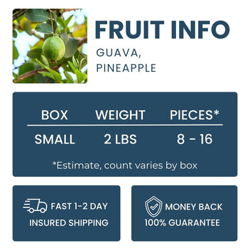 Pineapple Guava (Feijoa) Good Hill Farms Fruit: Guava, Pineapple