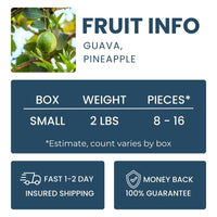 Pineapple Guava (Feijoa) Good Hill Farms Fruit: Guava, Pineapple