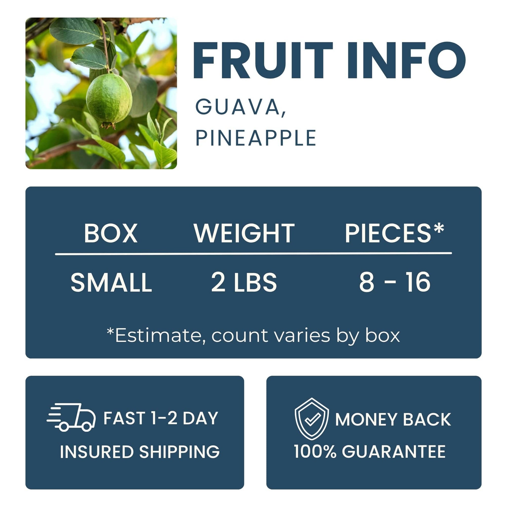 Pineapple Guava (Feijoa) Good Hill Farms Fruit: Guava, Pineapple
