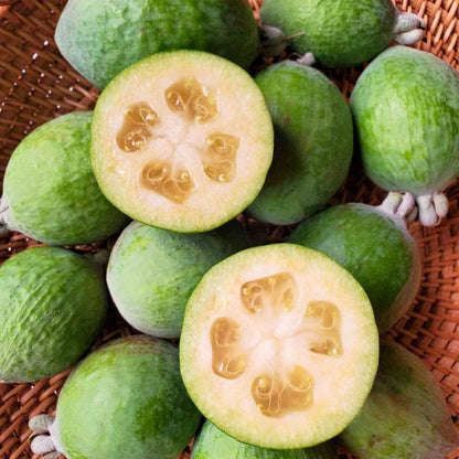 Pineapple Guava (Feijoa) Good Hill Farms Fruit: Guava, Pineapple