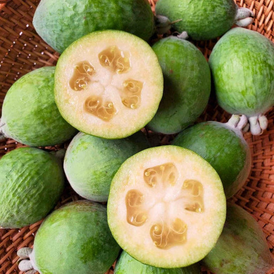Pineapple Guava (Feijoa) Good Hill Farms Fruit: Guava, Pineapple