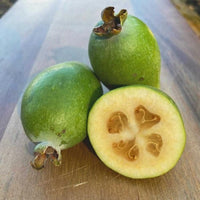 Pineapple Guava (Feijoa) Good Hill Farms Fruit: Guava, Pineapple