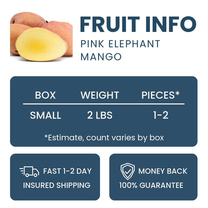 Pink Elephant Mango Good Hill Farms Fruit: Mango, Pink Elephant
