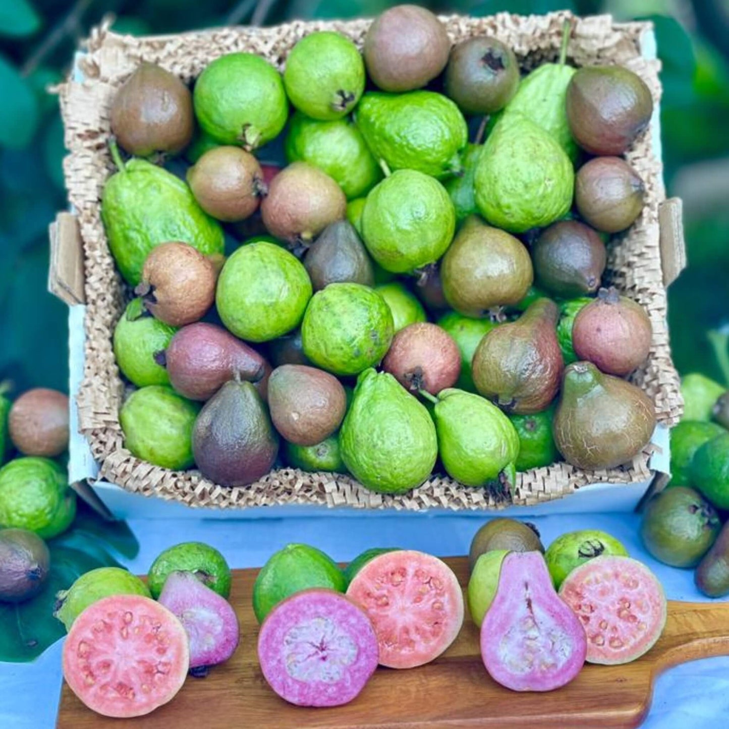 Pink Guava Good Hill Farms Fruit: Guava, Pink