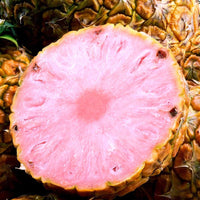 Pink Pineapple Good Hill Farms Fruit: Pineapple, Pink