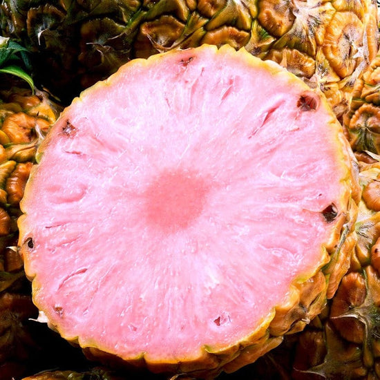 Pink Pineapple Good Hill Farms Fruit: Pineapple, Pink