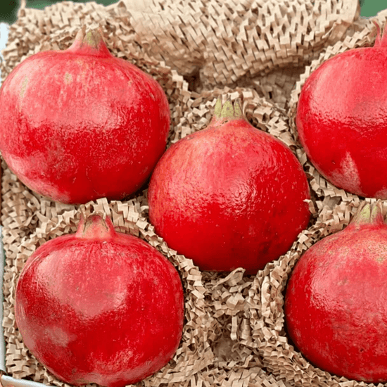 Pomegranate Good Hill Farms Fruit: Pomegranate