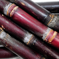Purple Sugar Cane Good Hill Farms Fruit: Sugar Cane, Purple