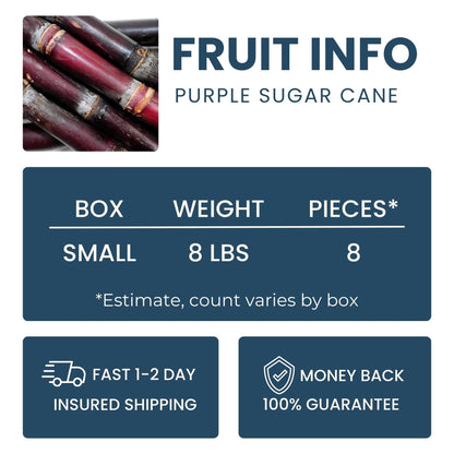 Purple Sugar Cane Good Hill Farms Fruit: Sugar Cane, Purple