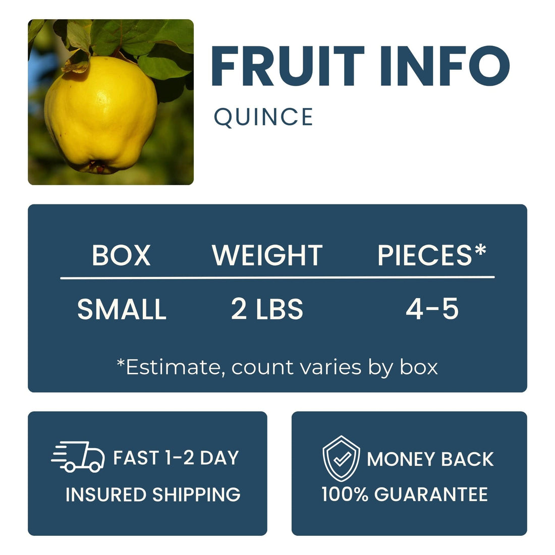 Quince Good Hill Farms Fruit: Quince
