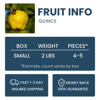 Quince Good Hill Farms Fruit: Quince