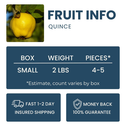 Quince Good Hill Farms Fruit: Quince