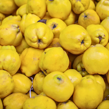Quince Good Hill Farms Fruit: Quince