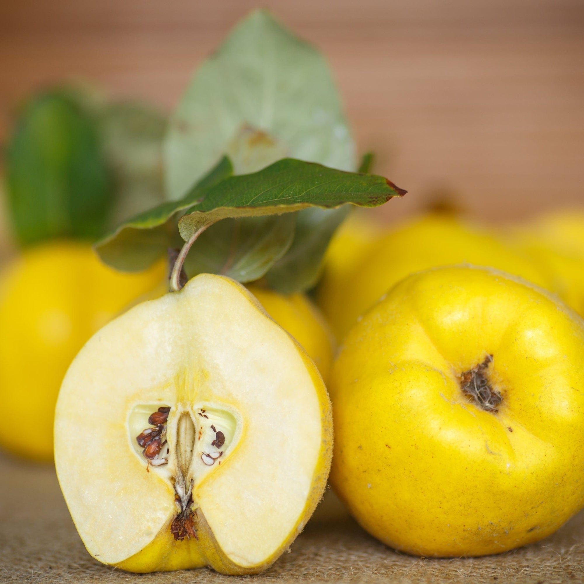 Quince Good Hill Farms Fruit: Quince