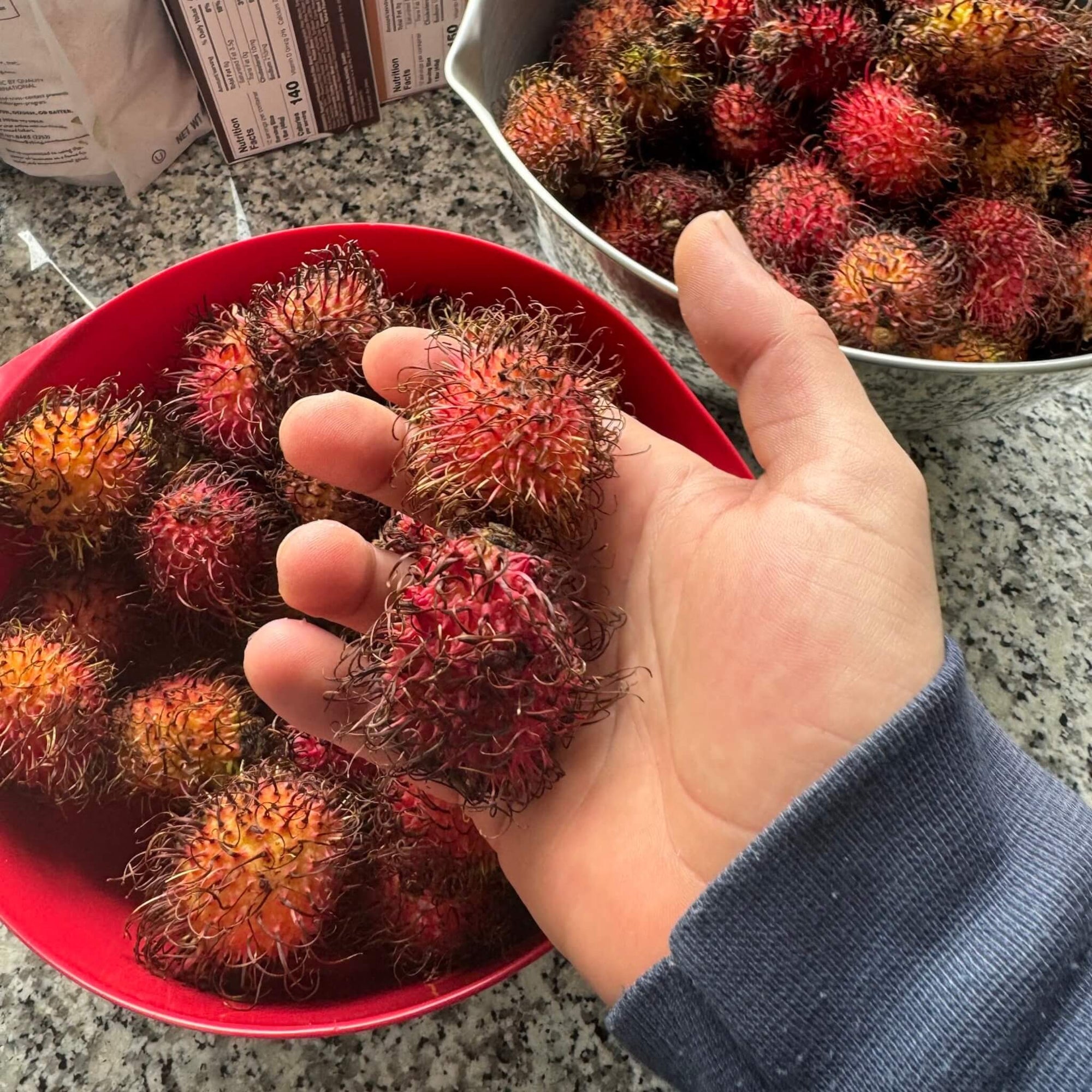 Rambutan Good Hill Farms Fruit: Rambutan