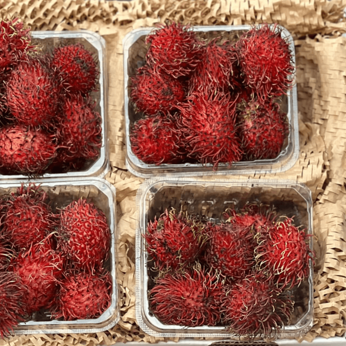 Rambutan Good Hill Farms Fruit: Rambutan