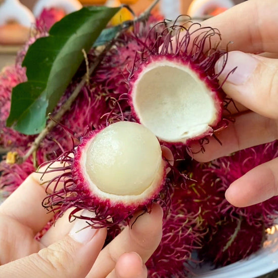 Rambutan Good Hill Farms Fruit: Rambutan