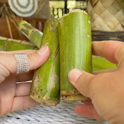 Raw Whole Sugar Cane Good Hill Farms Fruit: Sugar Cane, Green