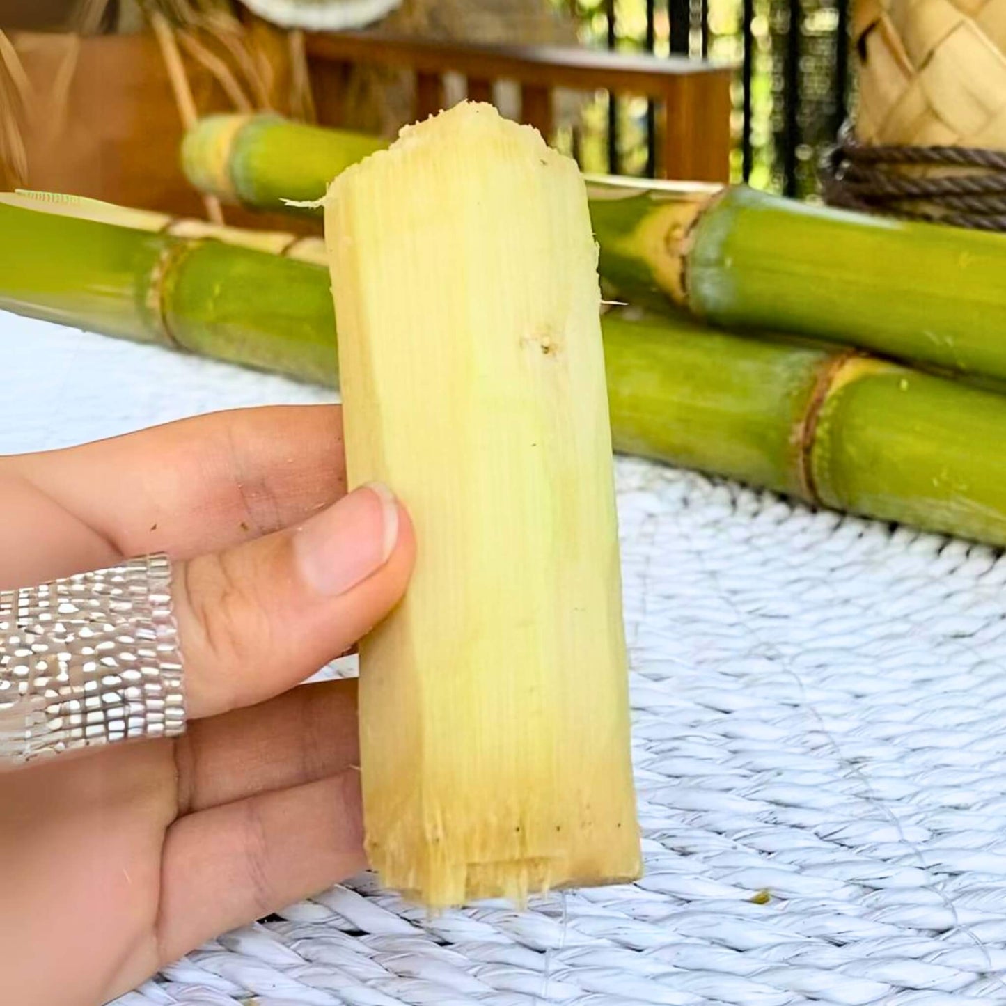 Raw Whole Sugar Cane Good Hill Farms Fruit: Sugar Cane, Green