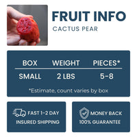 Red Cactus Pear Good Hill Farms Fruit: Cactus Pear