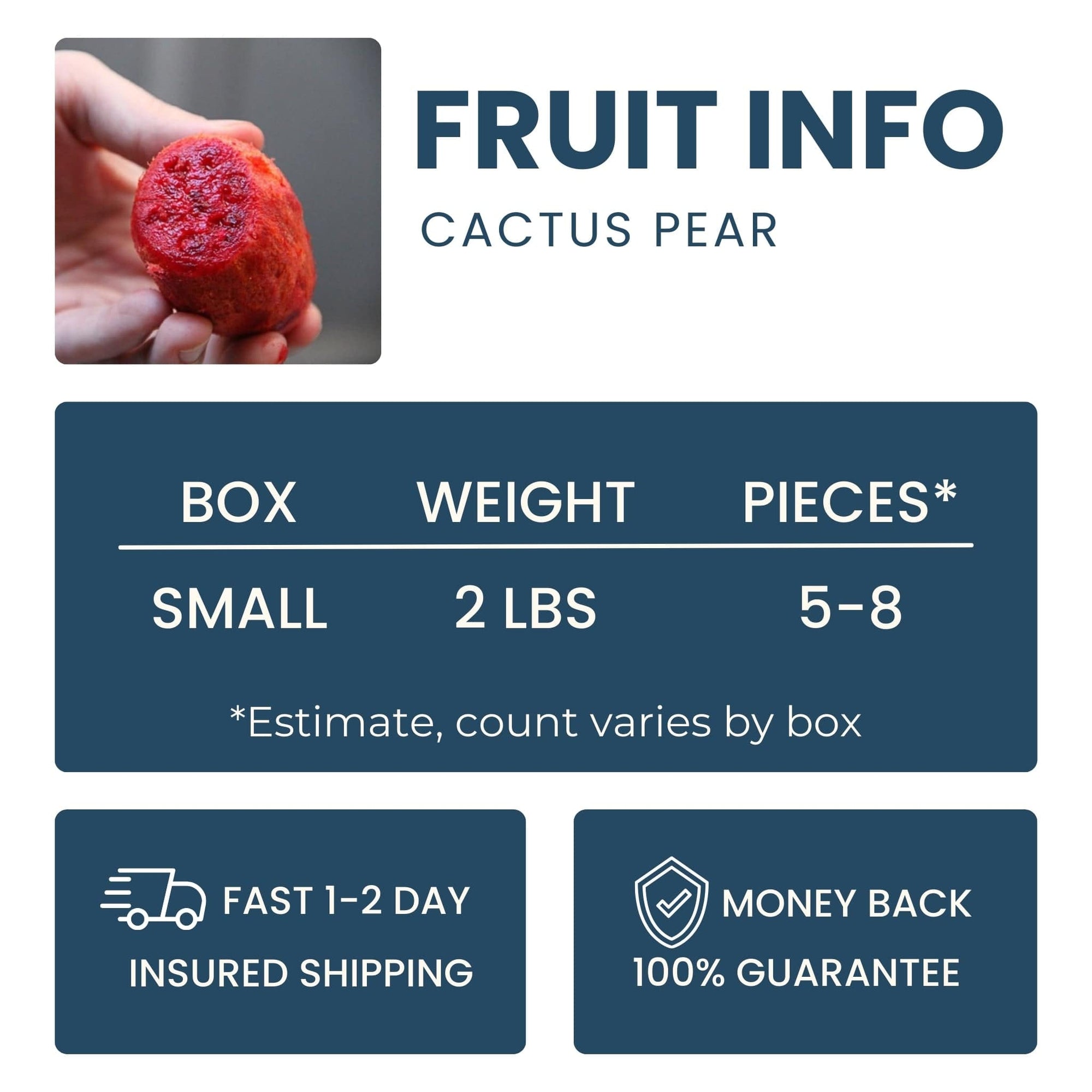 Red Cactus Pear Good Hill Farms Fruit: Cactus Pear
