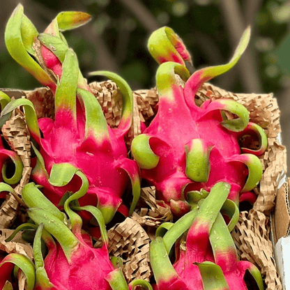 Red Dragon Fruit Good Hill Farms Fruit: Dragon Fruit, Red