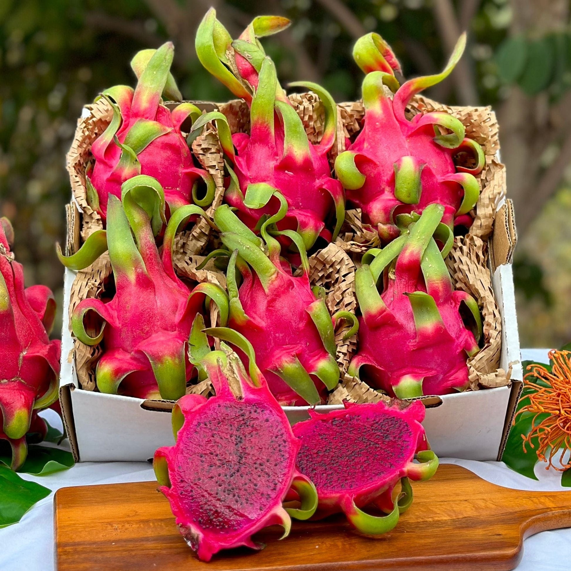 Red Dragon Fruit (Pitaya) Good Hill Farms Fruit: Dragon Fruit, Red