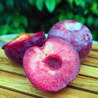 Red Plumcots Good Hill Farms Fruit: Plumcot, Red