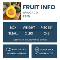 Reed Avocado Good Hill Farms Fruit: Avocado, Reed