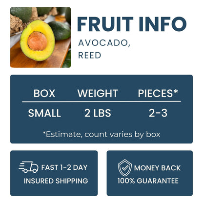 Reed Avocado Good Hill Farms Fruit: Avocado, Reed