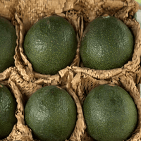 Reed Avocado Good Hill Farms Fruit: Avocado, Reed