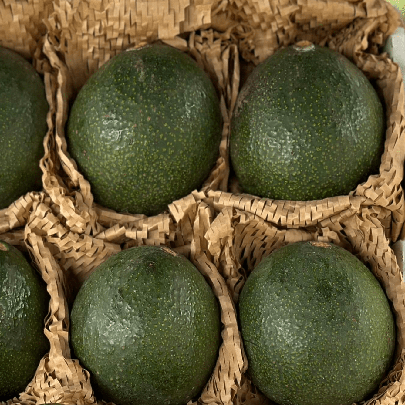 Reed Avocado Good Hill Farms Fruit: Avocado, Reed